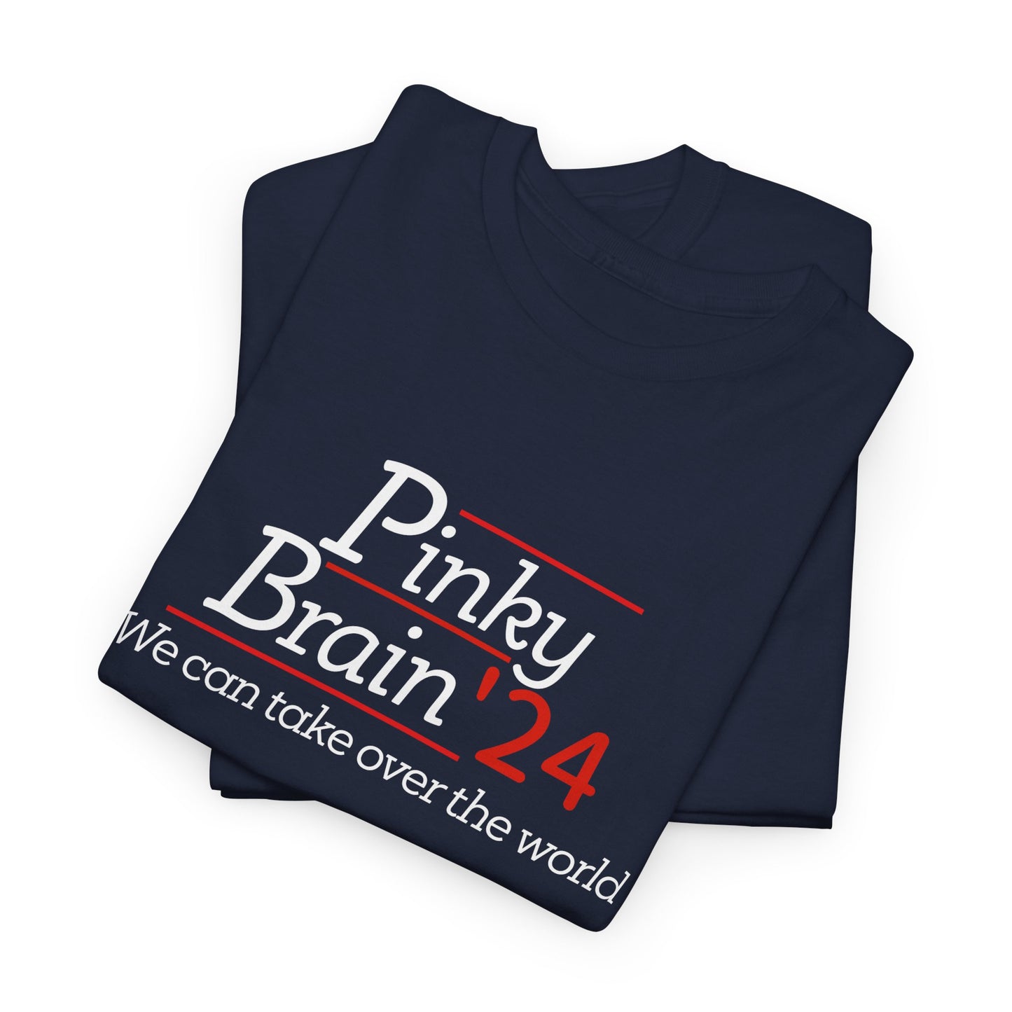Pinky and Brain 24