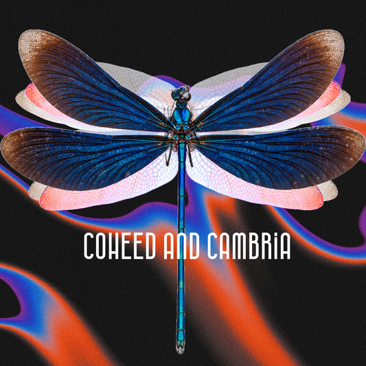 Coheed and Cambria Dragonfly Sticker